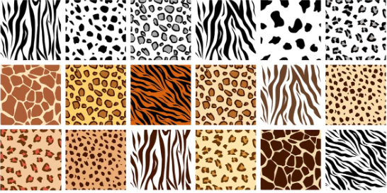 Animal prints have always been a popular fashion trend, and they continue to reign supreme in the fashion world. From leopard spots to zebra stripes and snake patterns, animal prints are a must-have in any fashionista's wardrobe. In this article, we will explore why animal prints are so popular and how to incorporate them into your wardrobe. Why Animal Prints are Popular: Animal prints have always been a symbol of luxury and status, dating back to ancient times when royalty would wear furs and skins. Today, animal prints are still associated with luxury and are seen as a statement of confidence and individuality. They add a touch of wildness and rebellion to any outfit, making them a popular choice for those looking to make a fashion statement. How to Incorporate Animal Prints into Your Wardrobe: Start Small: If you are new to animal prints, start small by incorporating them into your accessories, such as scarves, belts, or shoes. This will help you get used to the print and add a touch of style to your outfit without going overboard. Mix and Match: Don't be afraid to mix and match animal prints. Pair a leopard print blouse with a zebra print skirt or wear snake print shoes with a zebra print dress. The key is to balance the prints with neutral colors and simple silhouettes to avoid looking too busy. Statement Pieces: If you are feeling bold, go for a statement piece, such as a leopard print coat or a zebra print jumpsuit. This will make a strong fashion statement and show off your confidence and individuality. Colors: Experiment with different colors of animal prints, such as blue leopard or pink snake. This will add a unique twist to the classic prints and make your outfit stand out. Textures: Play with different textures, such as a faux fur leopard coat or a snakeskin embossed leather purse. This will add depth and dimension to your outfit and make it more interesting. Conclusion: Animal prints are a must-have in any fashion lover's wardrobe. They add a touch of luxury, wildness, and rebellion to any outfit and are a symbol of confidence and individuality. From leopard spots to zebra stripes and snake patterns, there are endless ways to incorporate animal prints into your wardrobe, whether you are looking to start small or make a bold fashion statement. So, don't be afraid to unleash your wild side and add some animal prints to your fashion repertoire.