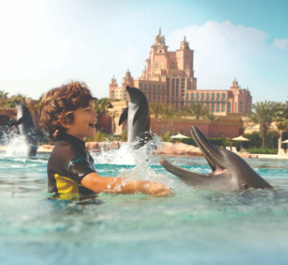 Dolphin Bay is a unique and unforgettable experience that offers visitors the chance to interact with these intelligent and playful creatures in a safe and controlled environment.